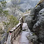 14 B